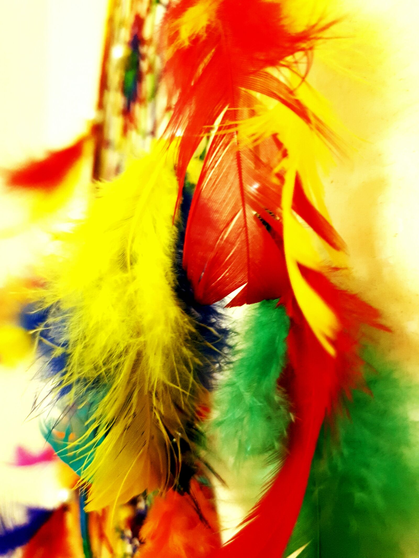 Samsung Galaxy Note9 sample photo. Feather, love, feelings photography