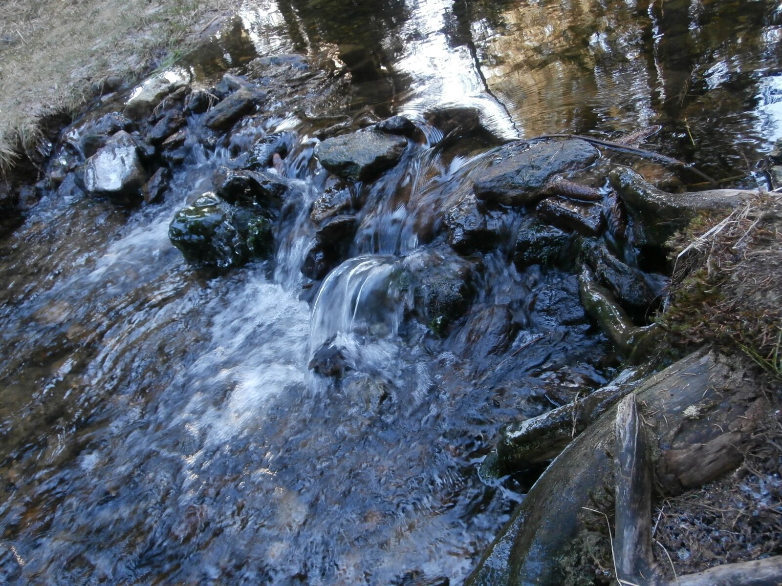 Olympus VR370,D785 sample photo. Stream, water, running water photography