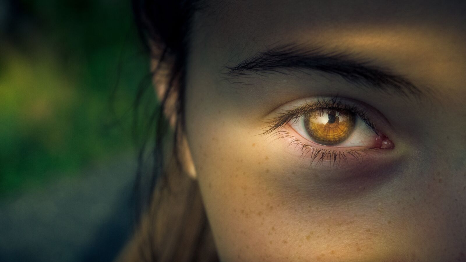 Sony a6000 sample photo. Eye, iris, pupil photography