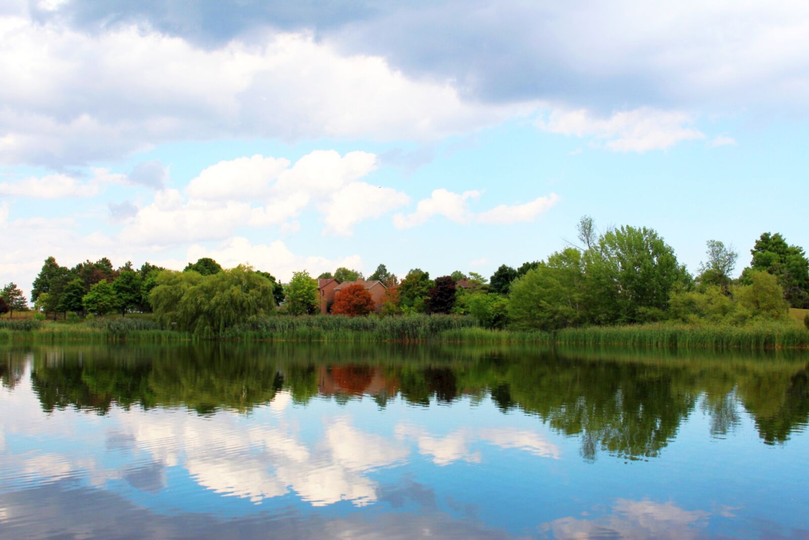Canon EOS 700D (EOS Rebel T5i / EOS Kiss X7i) sample photo. View, panorama, landscape photography