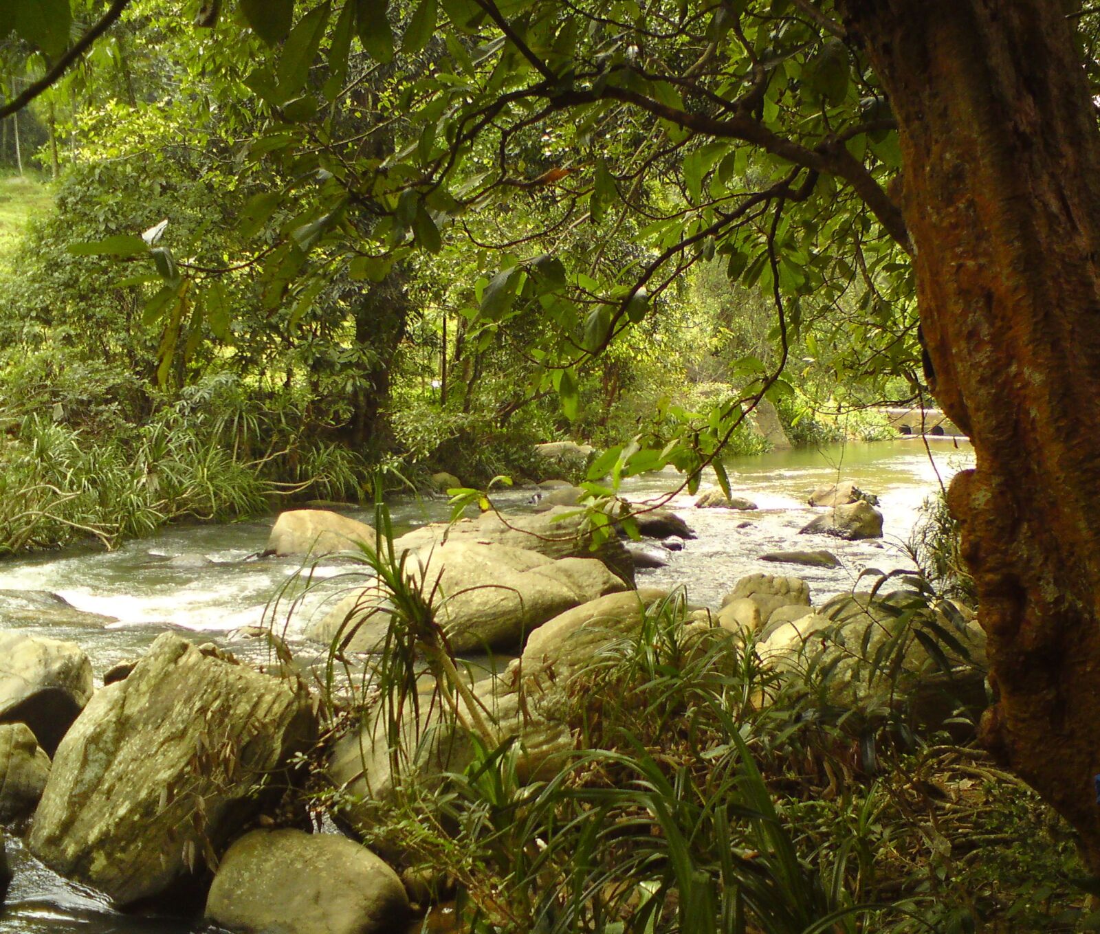 Sony Ericsson C902 sample photo