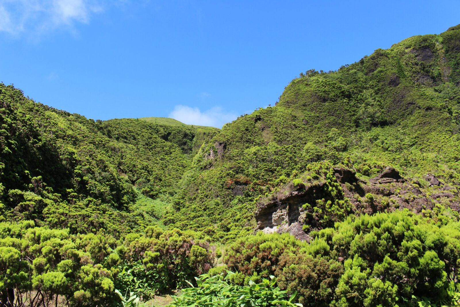 Canon EOS 700D (EOS Rebel T5i / EOS Kiss X7i) sample photo. Azores, green, overgrown photography
