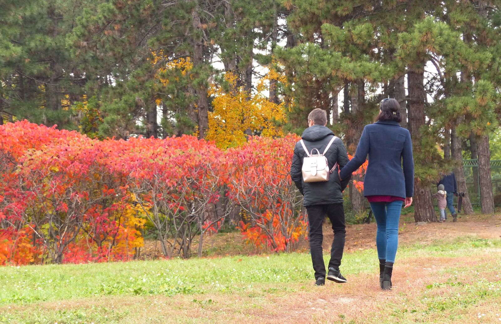 Panasonic Lumix DMC-FZ200 sample photo. Botanical garden, autumn, people photography