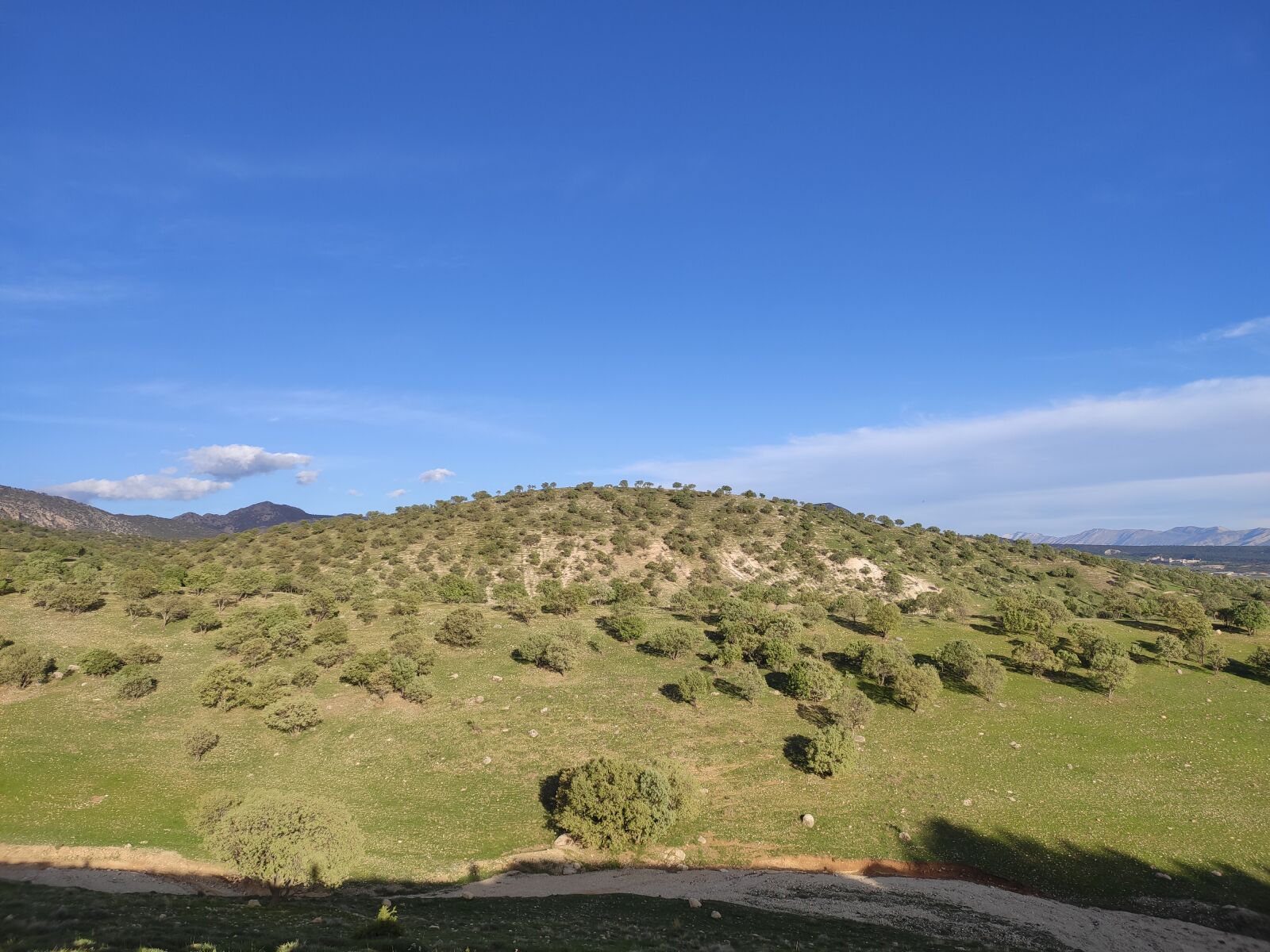Xiaomi MI CC 9 sample photo. Nature, sky, trees photography
