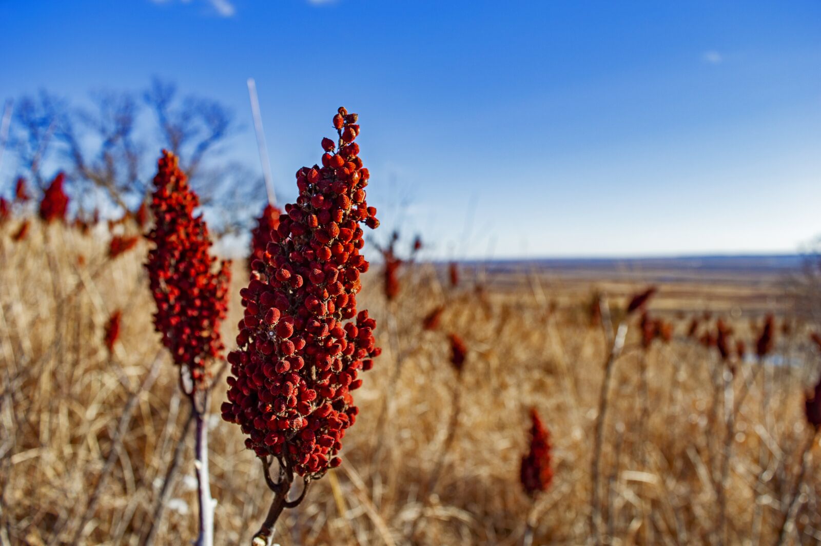 Nikon D3200 sample photo. Loess hills, loess hills photography