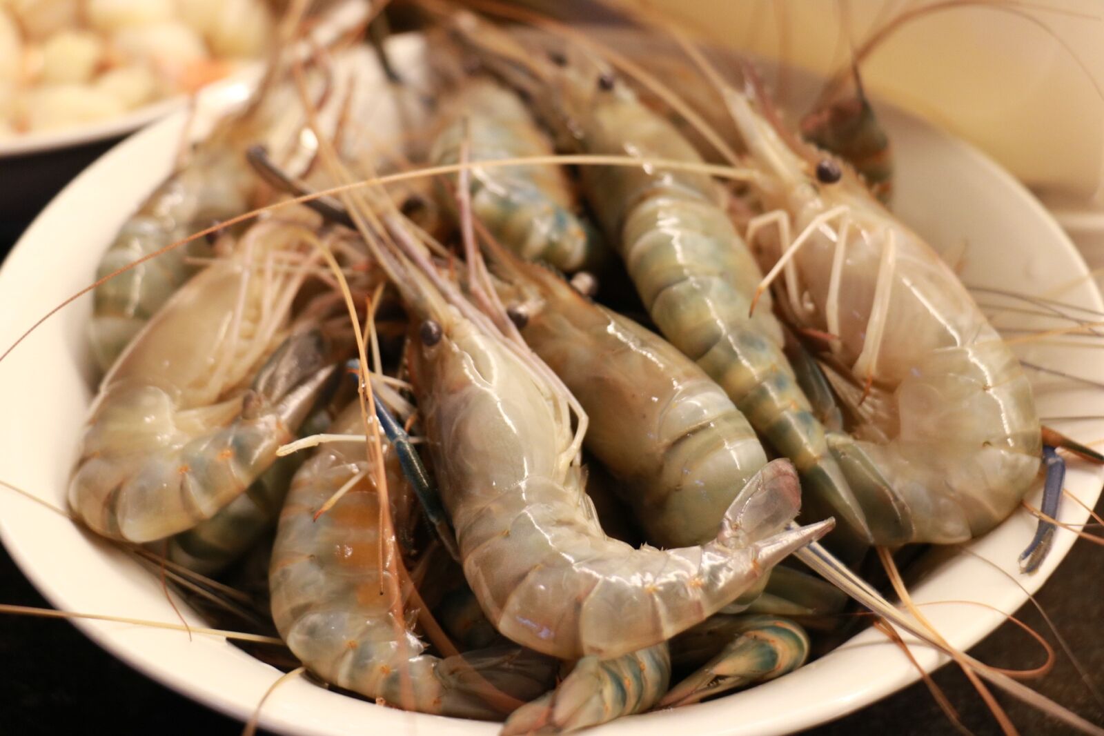 Canon EOS 750D (EOS Rebel T6i / EOS Kiss X8i) sample photo. Food, seafood, shrimp photography