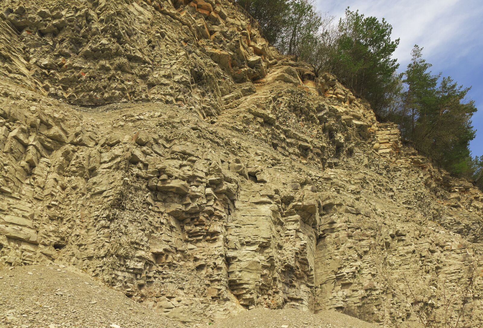 Panasonic Lumix DMC-FZ1000 sample photo. Quarry, trees, rock photography