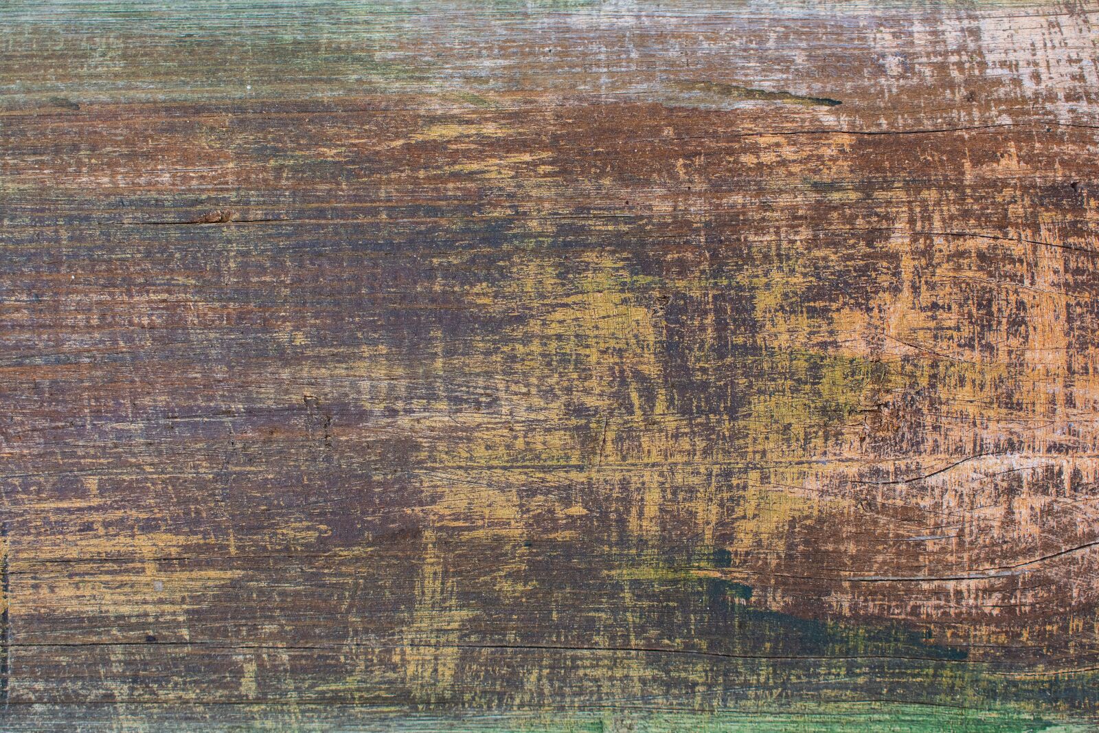 Nikon D7200 sample photo. Tree, texture, wood photography