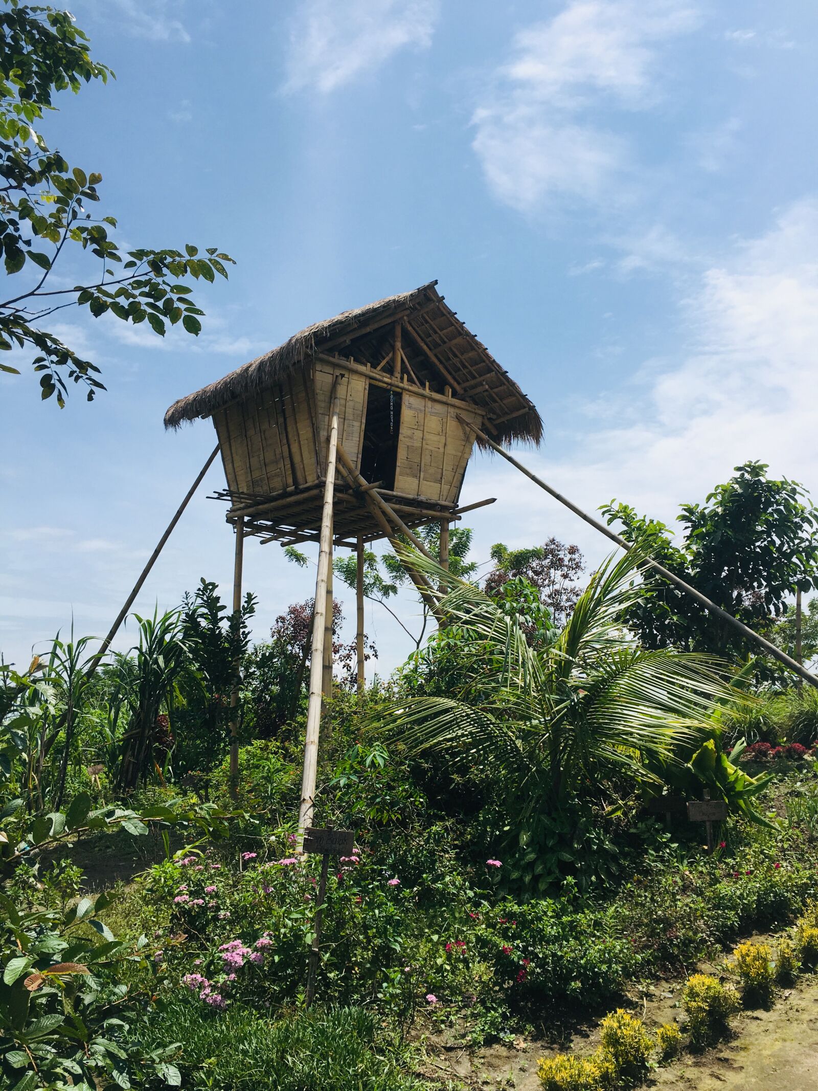 iPhone 6s Plus back camera 4.15mm f/2.2 sample photo. Hut, nature, philippines photography
