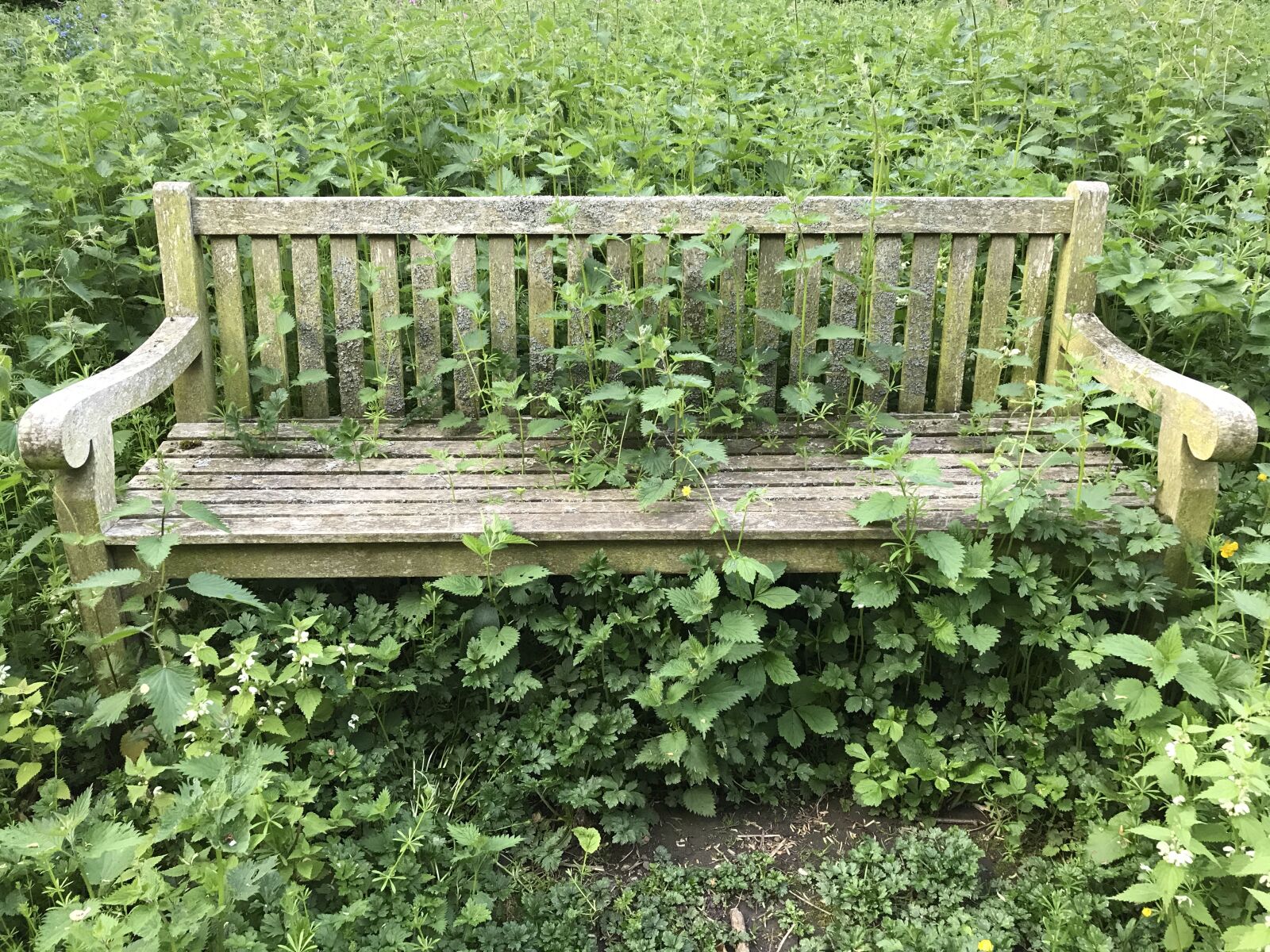 Apple iPhone 7 sample photo. Bench, abandoned, old photography