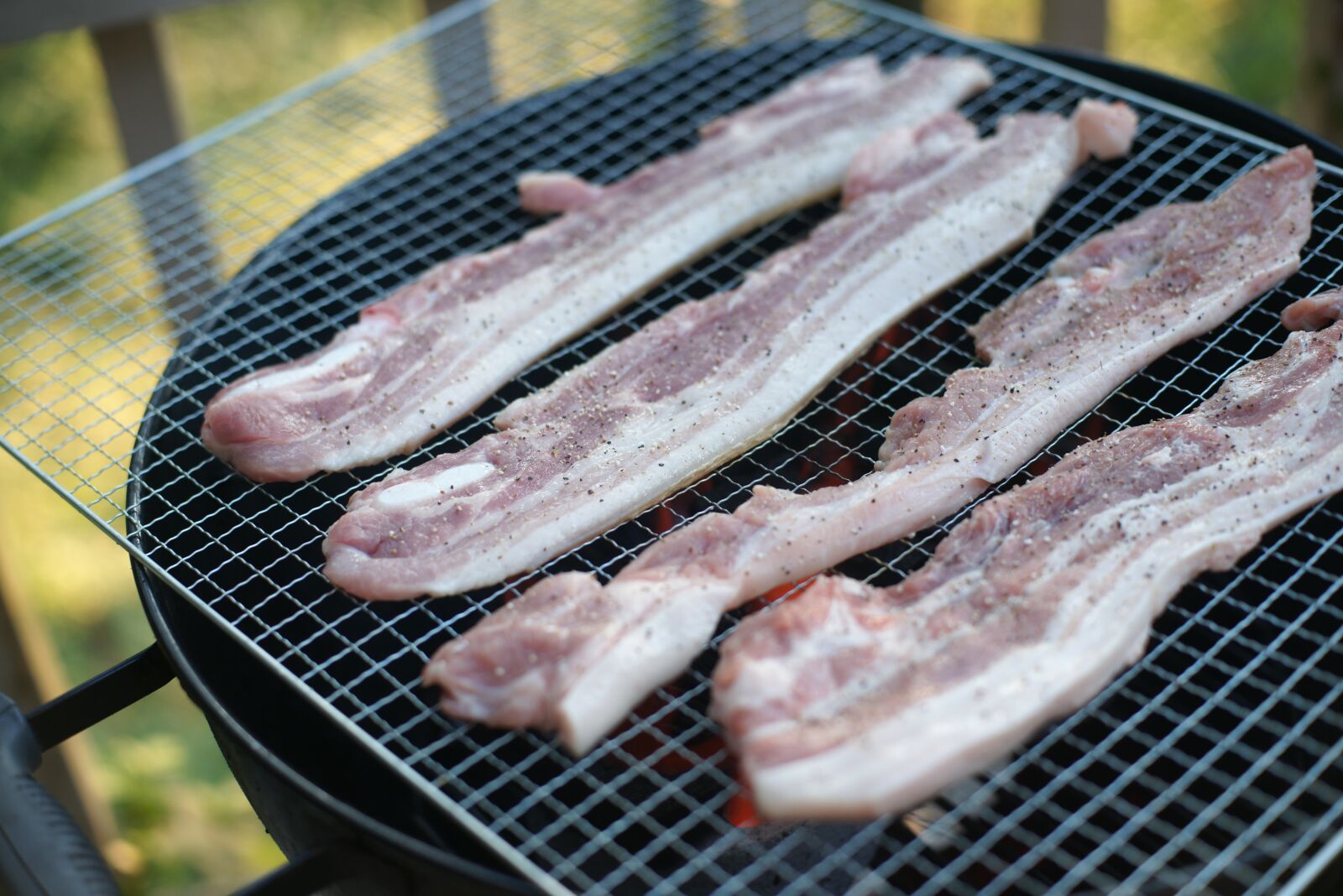 Sony Alpha DSLR-A850 sample photo. Meat, pork, delicious photography