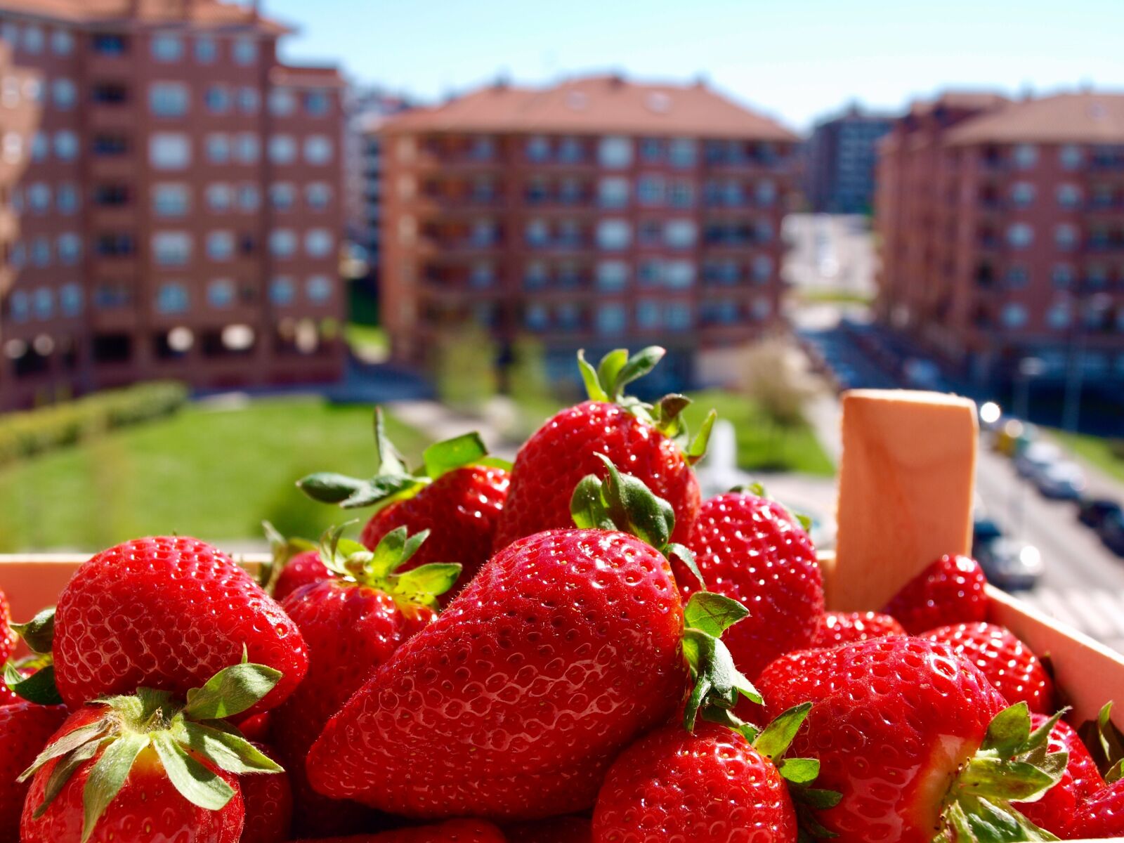 Olympus E-450 (EVOLT E-450) sample photo. Strawberries, summer, fruit photography