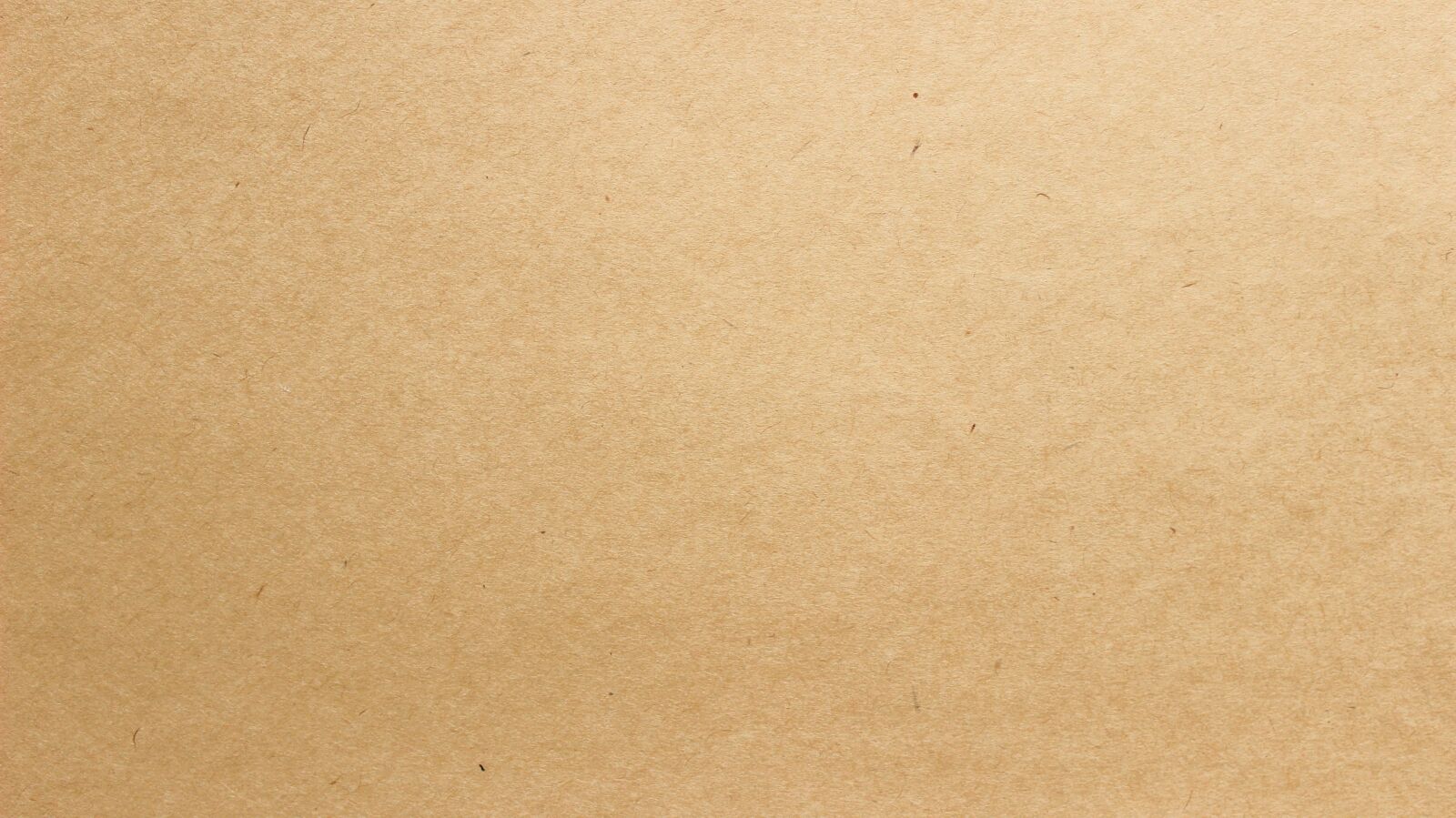 Canon EOS 600D (Rebel EOS T3i / EOS Kiss X5) sample photo. Paper, texture, brown photography