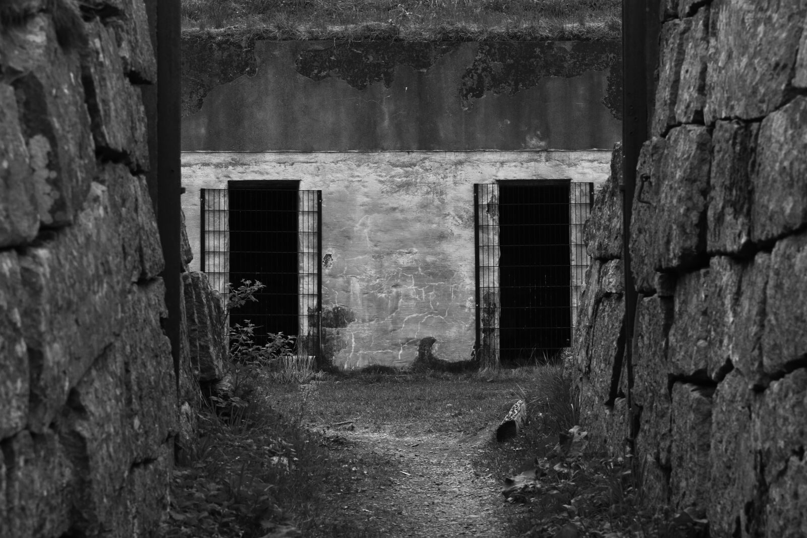 Canon EOS 7D Mark II sample photo. Trench, old, history photography
