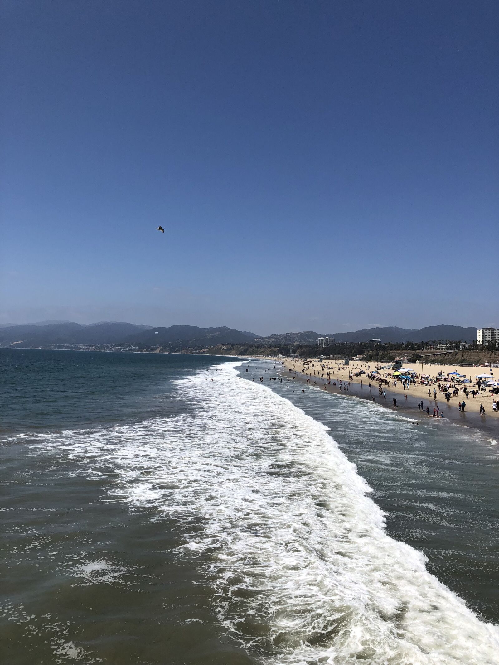 iPhone 8 Plus back dual camera 3.99mm f/1.8 sample photo. Venice beach, waves, pier photography