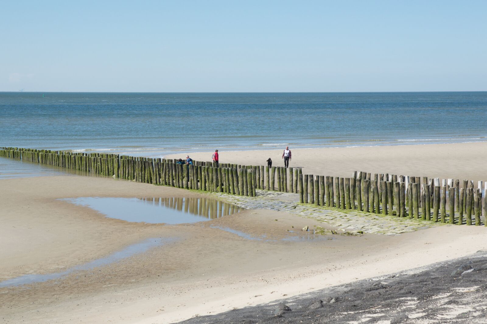 Nikon D3200 sample photo. Sea, zealand, nature photography