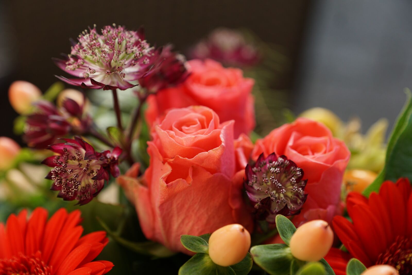 Sony ILCA-77M2 sample photo. Flowers, strauss, green photography