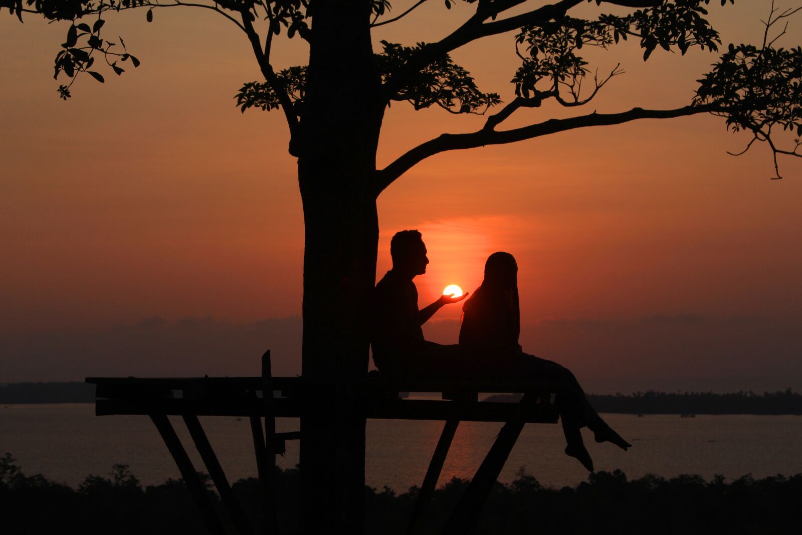 Canon EOS 700D (EOS Rebel T5i / EOS Kiss X7i) sample photo. View, sunset, the tree photography