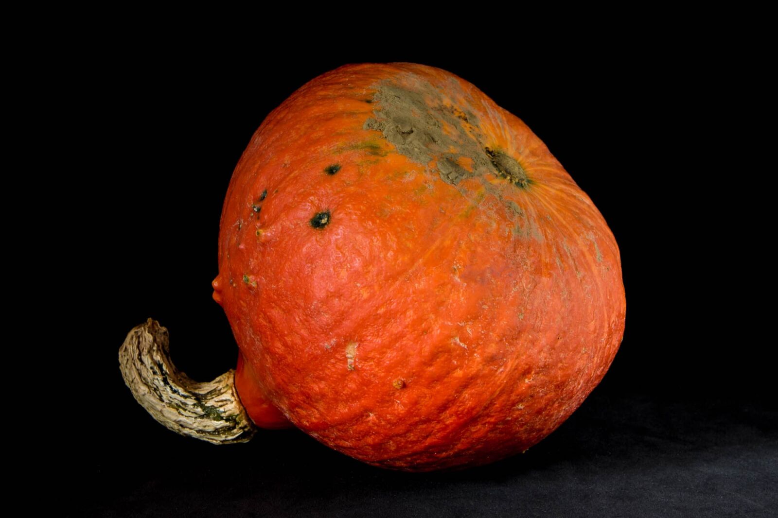 Nikon D7200 sample photo. Squash, orange, vegetables photography