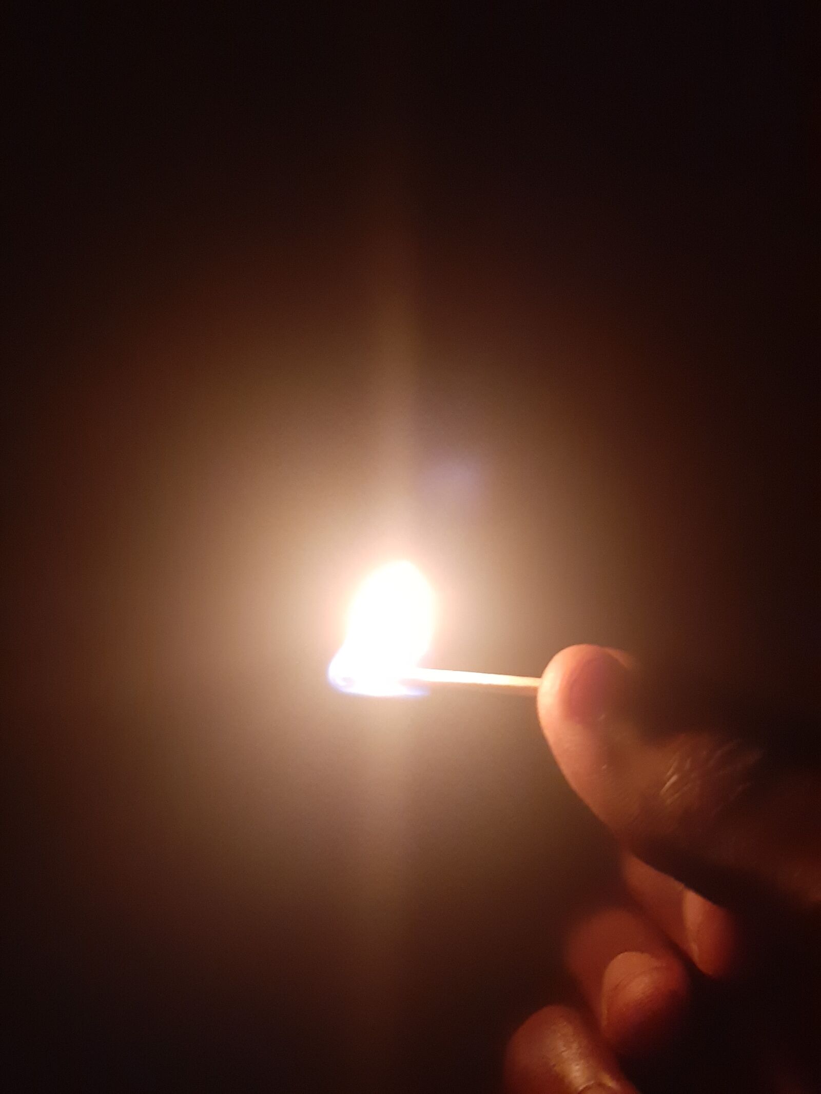 Samsung Galaxy A50 sample photo