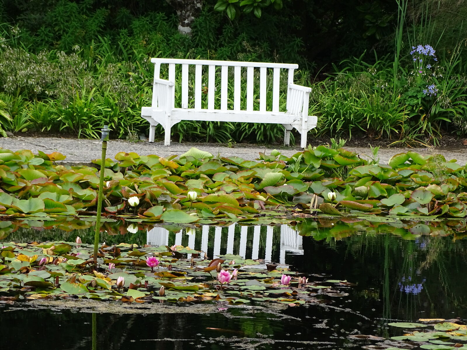 Sony Cyber-shot DSC-HX400V sample photo