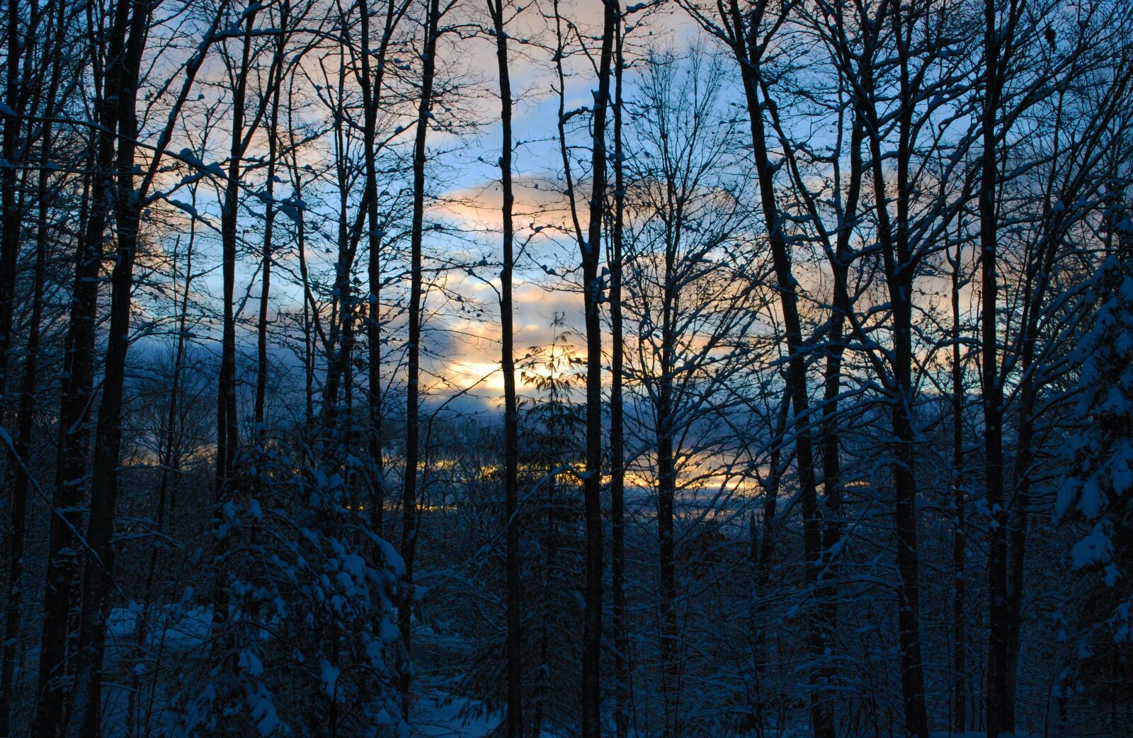 Nikon D60 sample photo. Sunrise, cold, winter photography