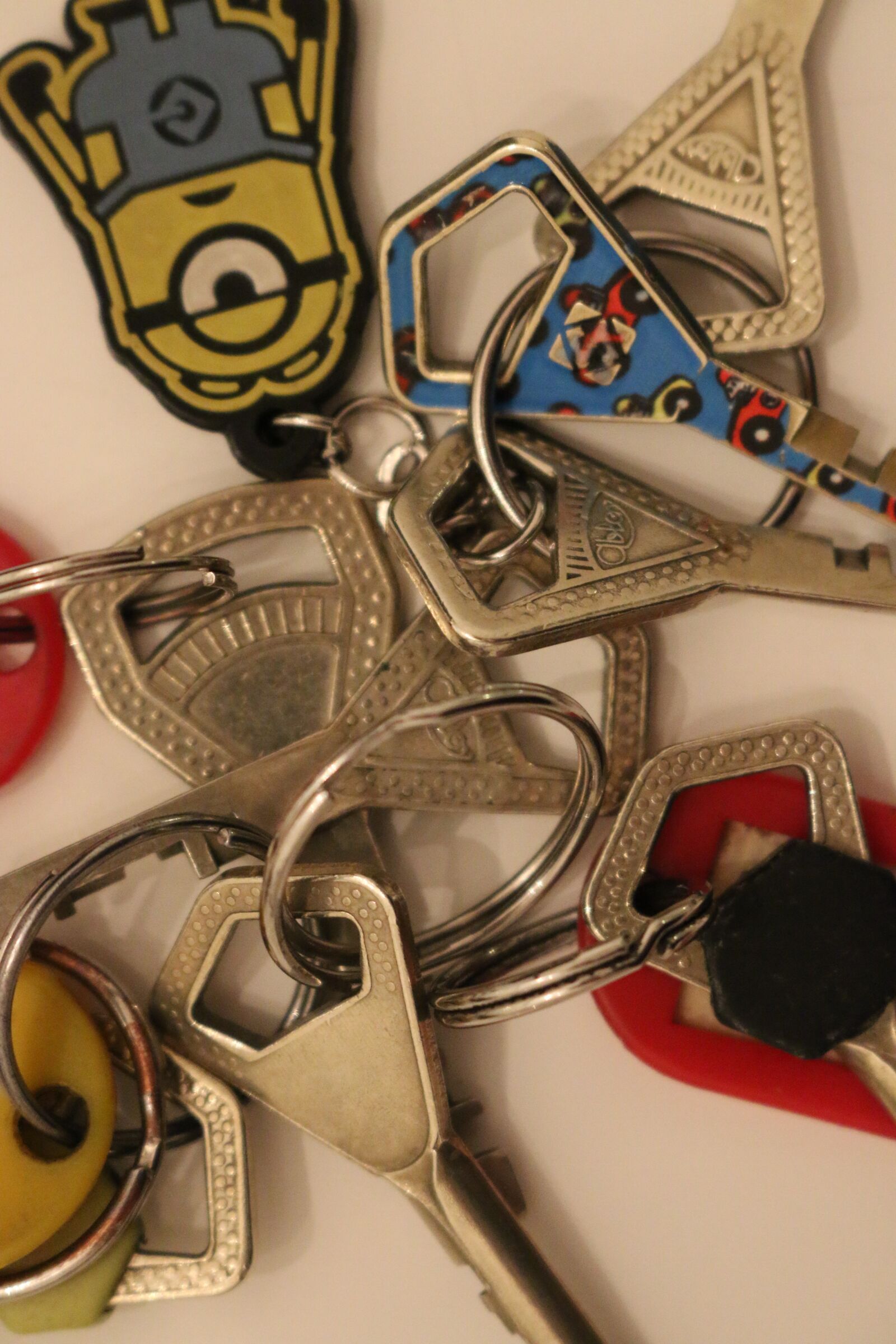 Canon EOS 70D sample photo. Keys, migration, keychain photography