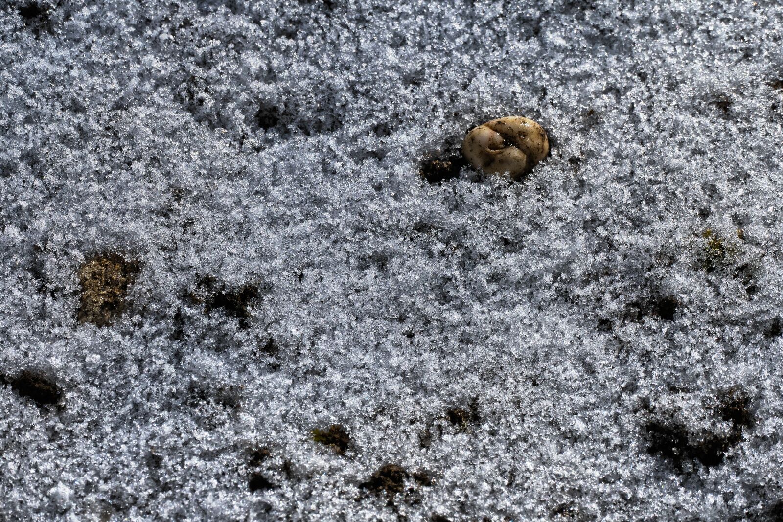 Panasonic Lumix DMC-FZ1000 sample photo. Pebble, snow, thaw photography