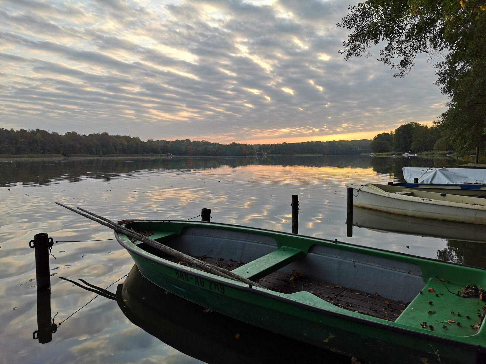 HUAWEI CLT-L29 sample photo. Paddle boat, lake, brandenburg photography