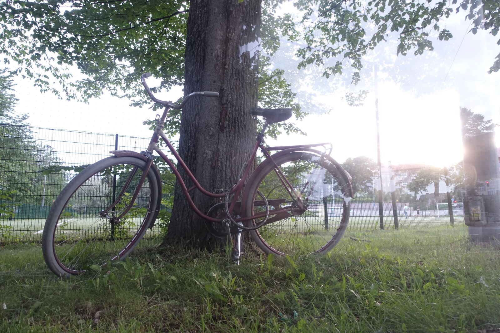 Sony Cyber-shot DSC-RX100 III sample photo. Golden hour bicycle photography