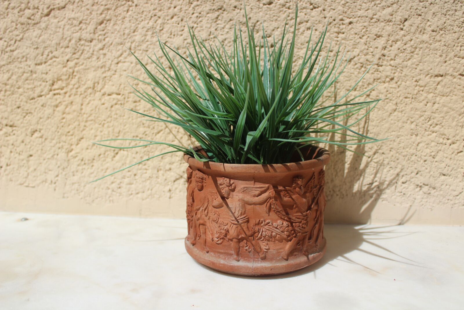 Canon EOS 1300D (EOS Rebel T6 / EOS Kiss X80) sample photo. Fresh green plant, clay photography