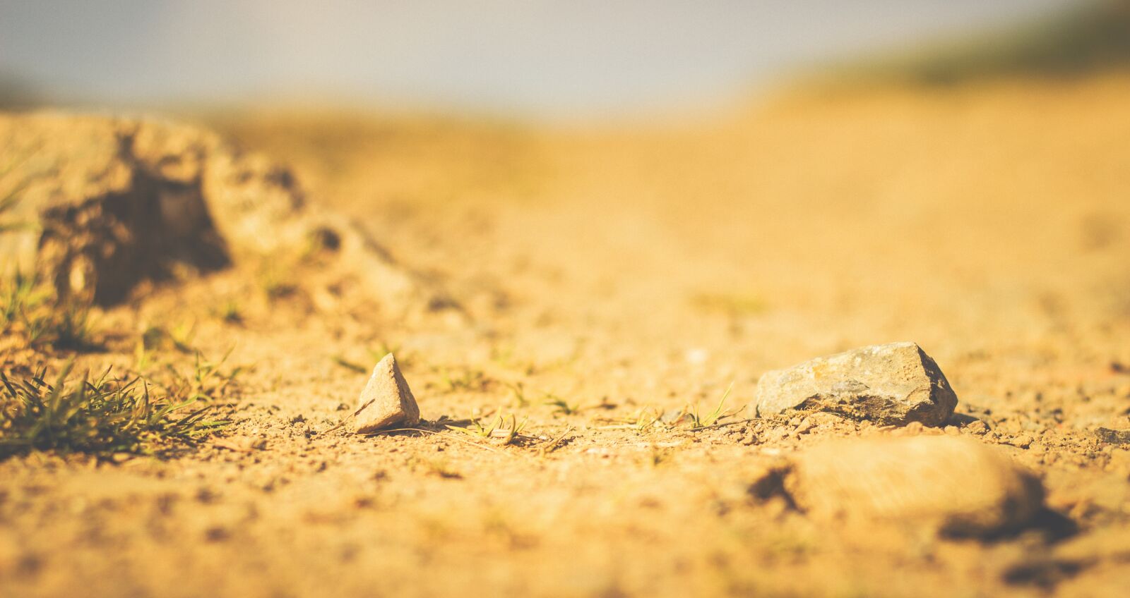 Canon EOS 600D (Rebel EOS T3i / EOS Kiss X5) + Canon EF 50mm F1.8 II sample photo. Ground, sand, desert photography