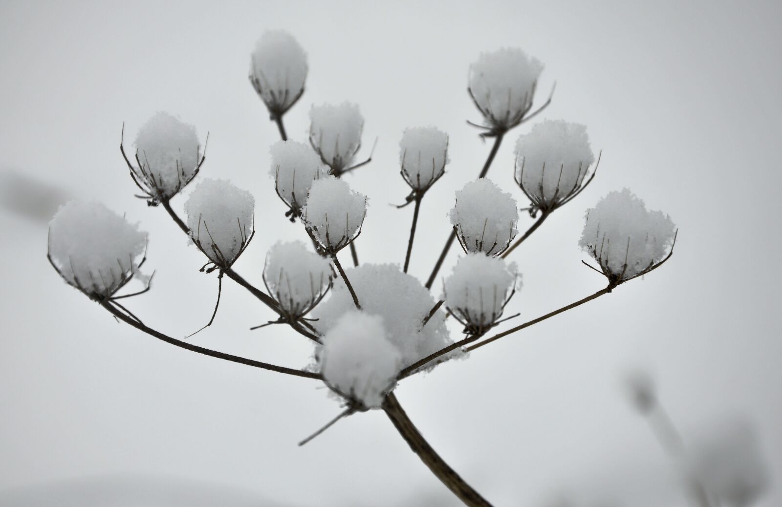 Nikon D90 sample photo. Winter, landscape, snow photography