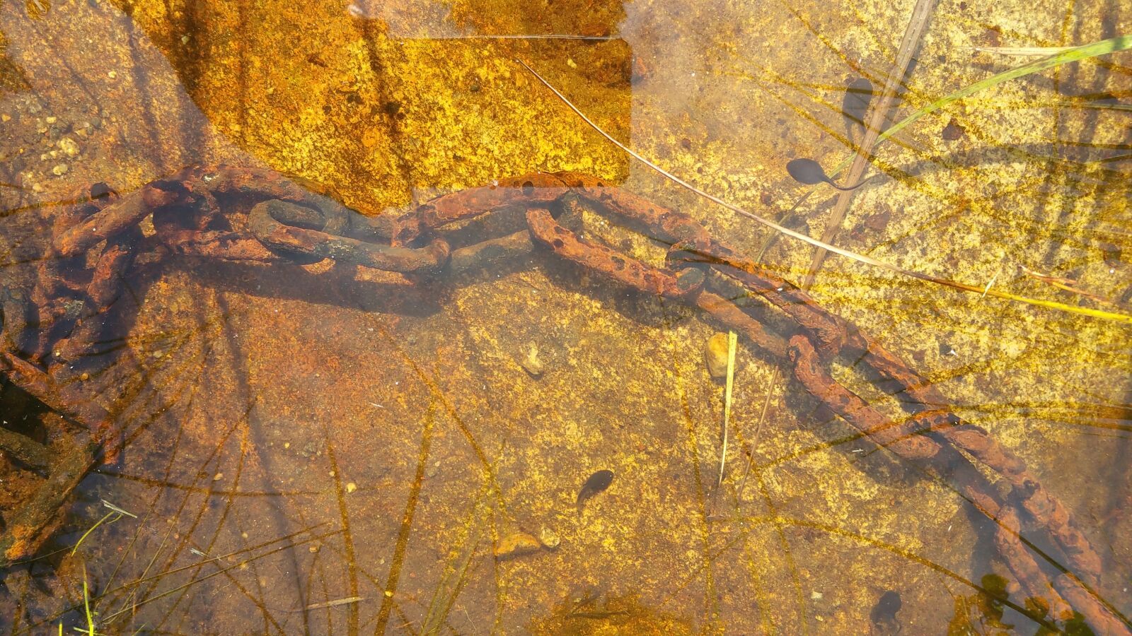 Samsung Galaxy Note4 sample photo. Chain, lake, bed photography