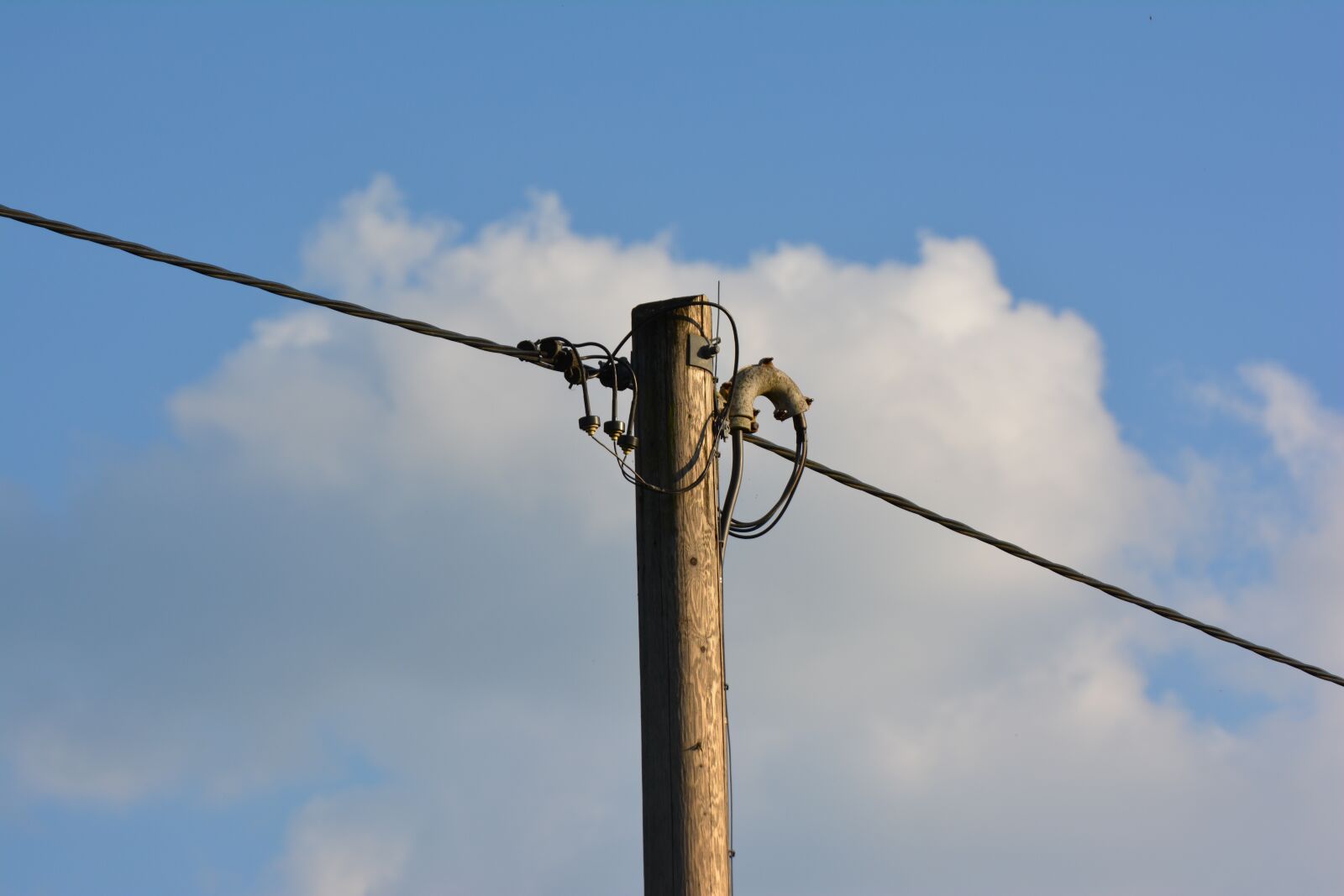 Nikon D5200 sample photo. Telephone pole, masts, mast photography