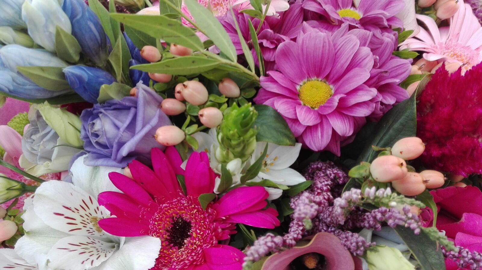 HUAWEI P8 Lite sample photo. Colorful flowers, summer, flower photography