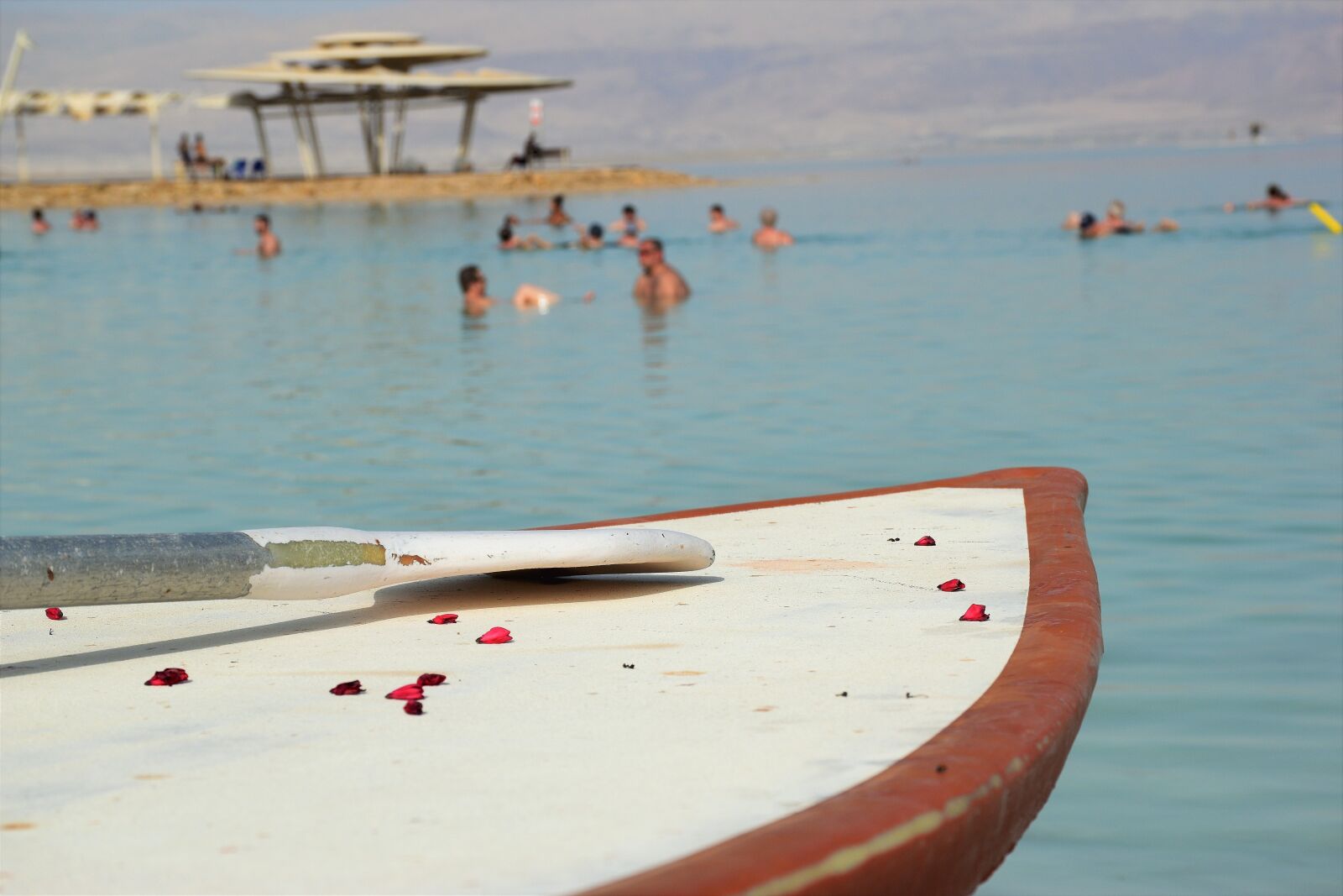 Nikon D5600 sample photo. Summer, dead sea, leisure photography