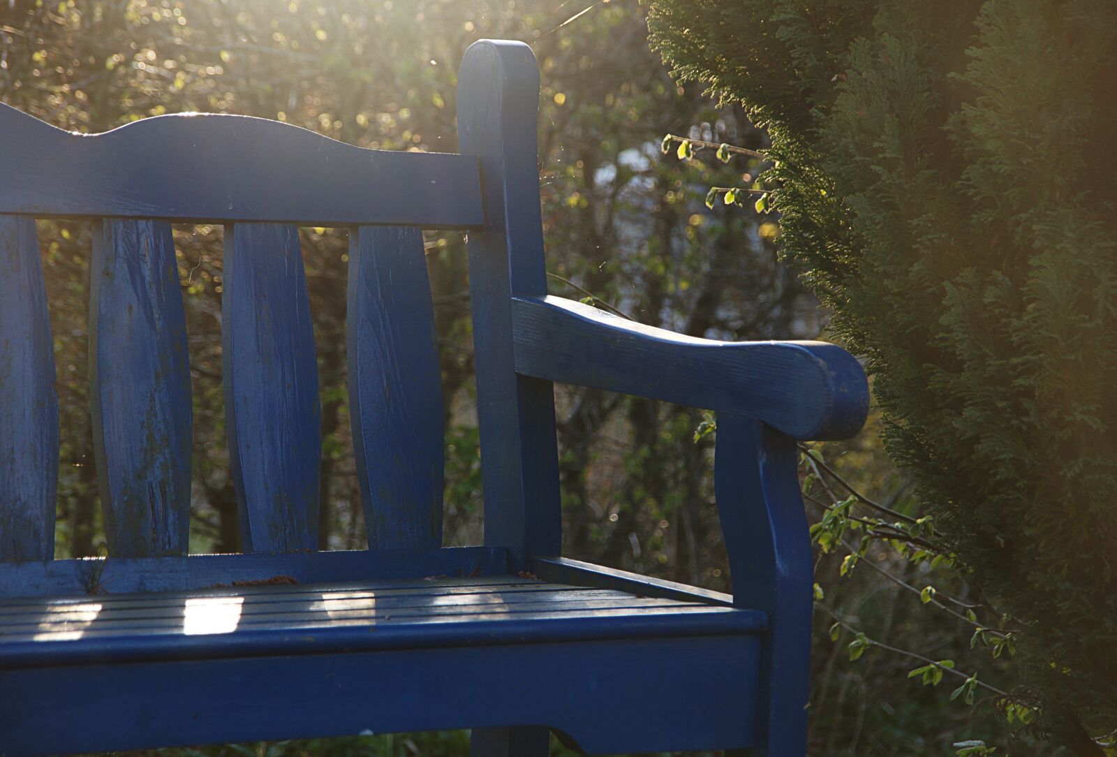Sony SLT-A57 sample photo. Bench, garden bench, backlighting photography