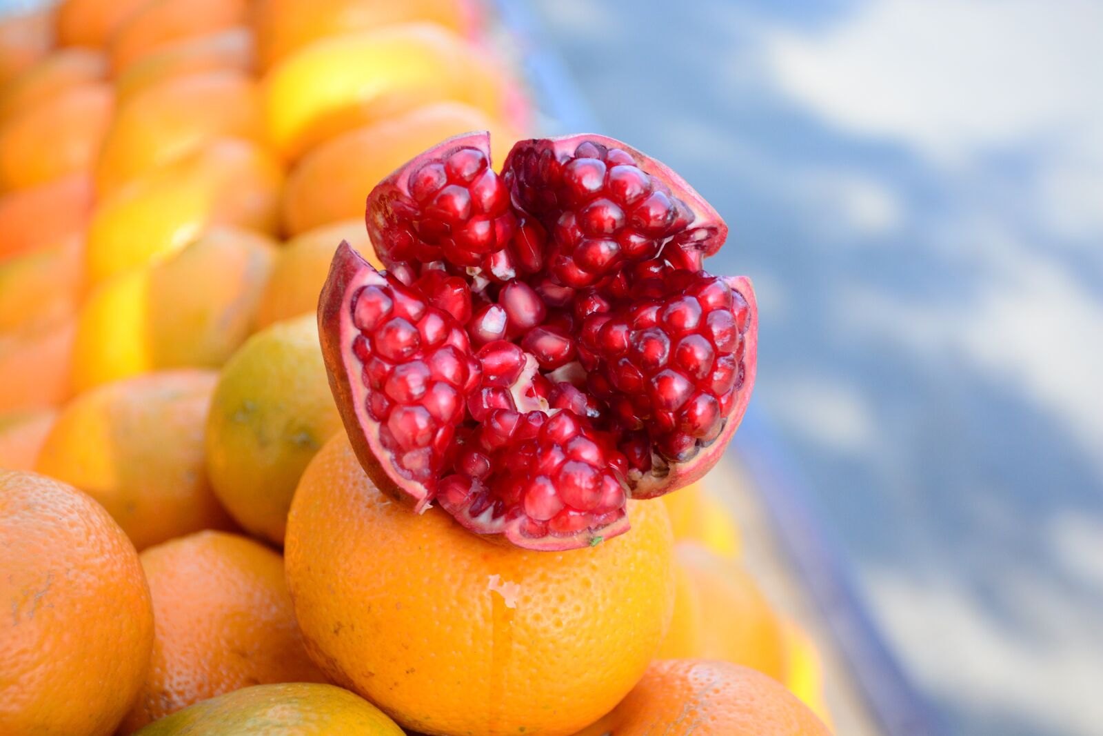 Nikon D7100 sample photo. Close-up, colorful, colourful photography