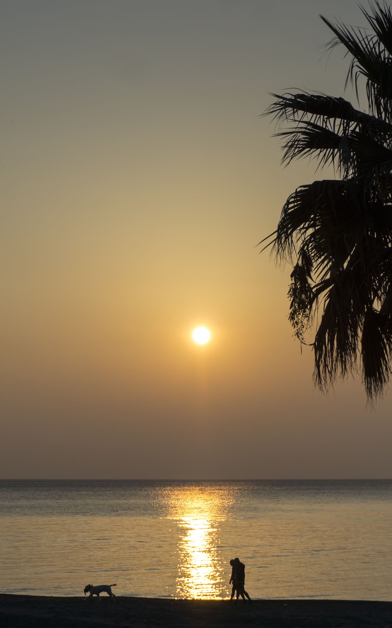 Sony E 16-50mm F3.5-5.6 PZ OSS sample photo. Sea, dawn, water photography
