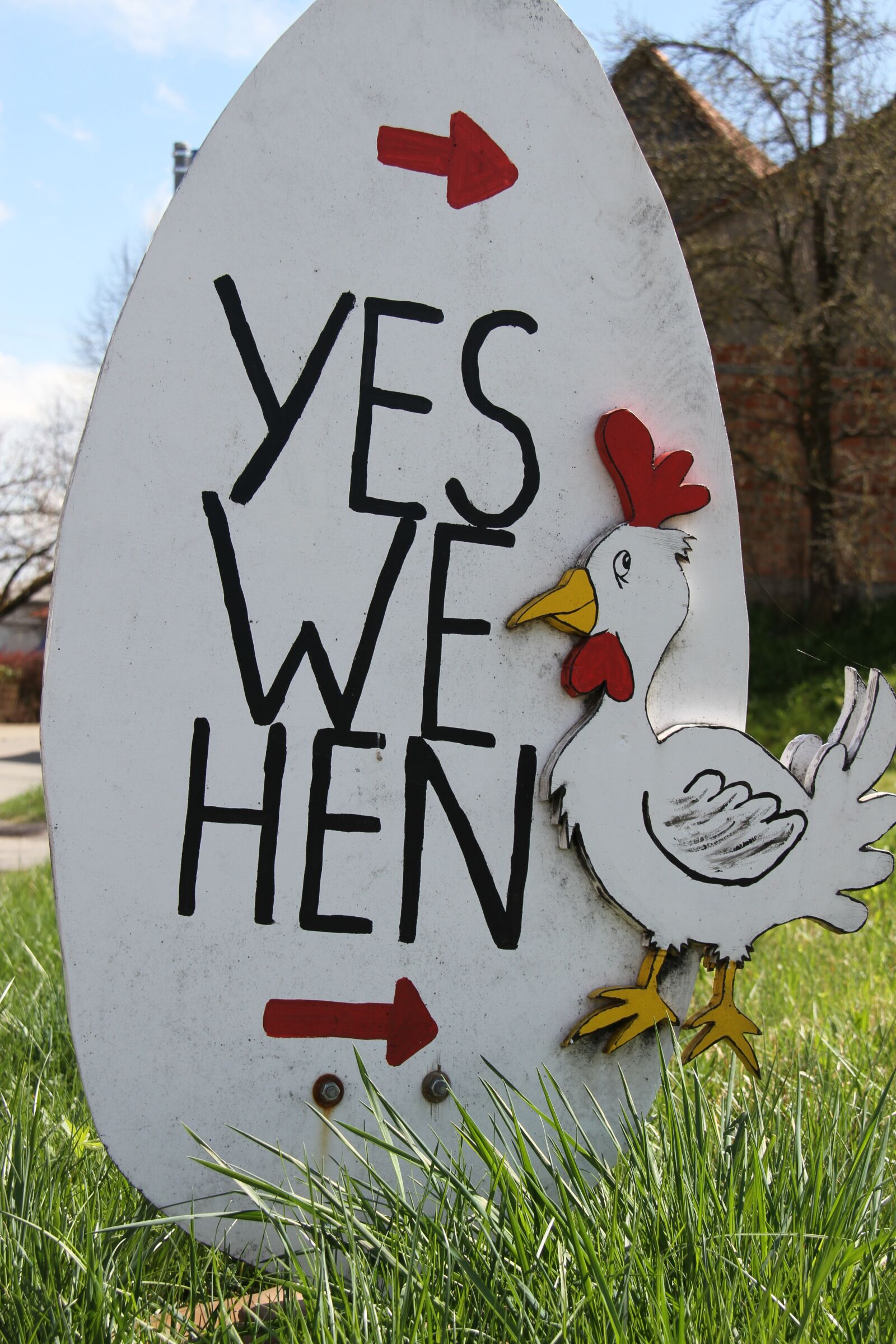 Canon EF-S 18-200mm F3.5-5.6 IS sample photo. Chicken, hen, egg photography