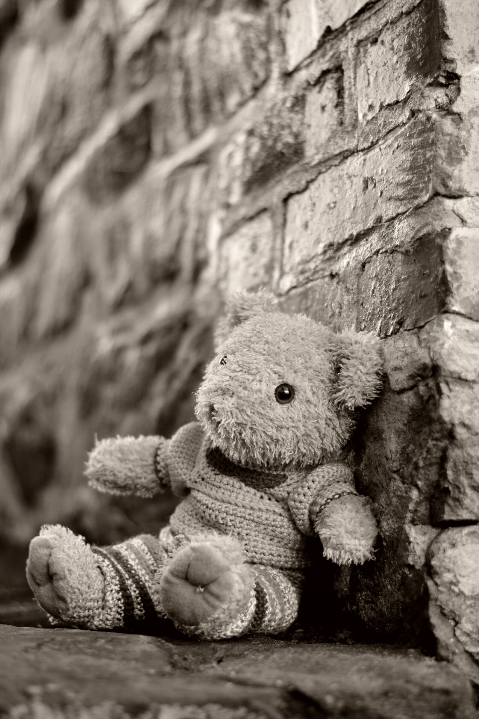Nikon D5200 sample photo. Teddy teddy bear, bears photography
