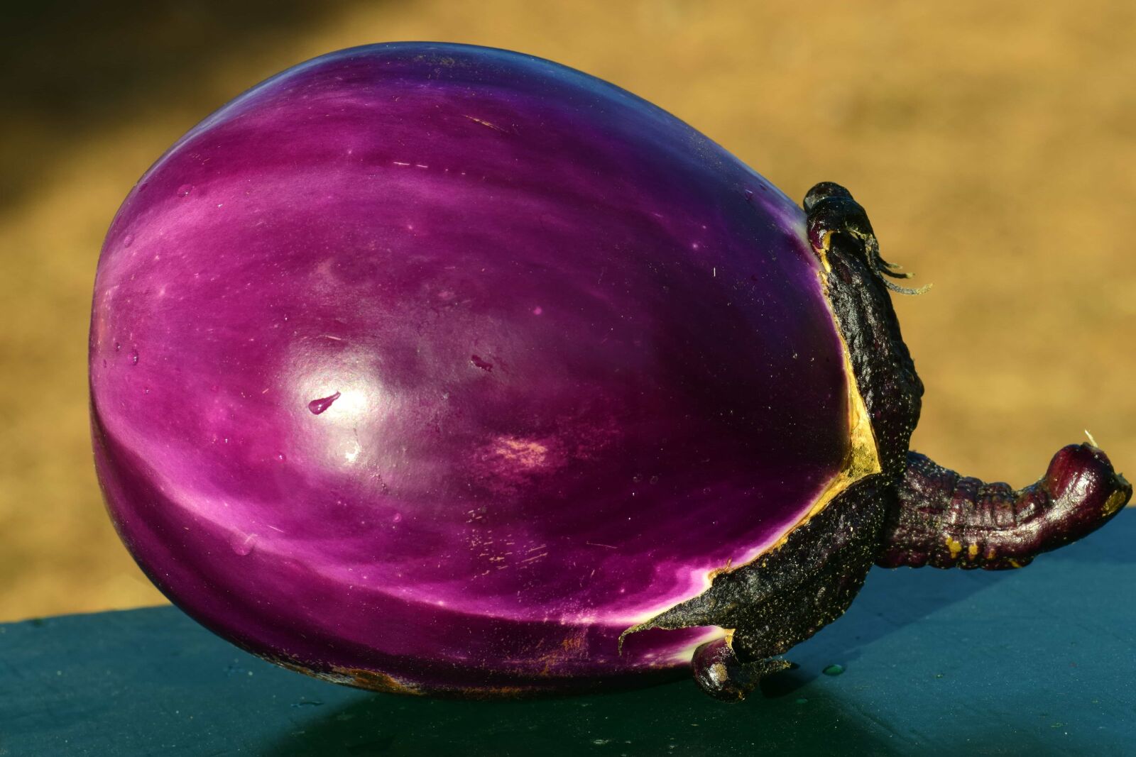 Nikon D3300 sample photo. Plant, vegetable, purple, food photography