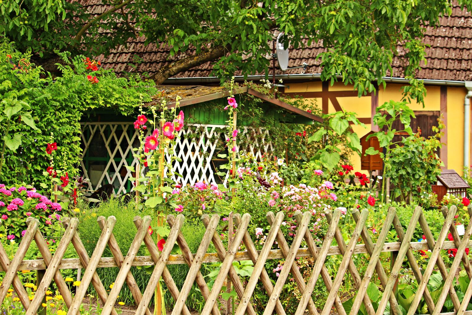 Canon EOS 100D (EOS Rebel SL1 / EOS Kiss X7) sample photo. Garden, cottage garden, fence photography