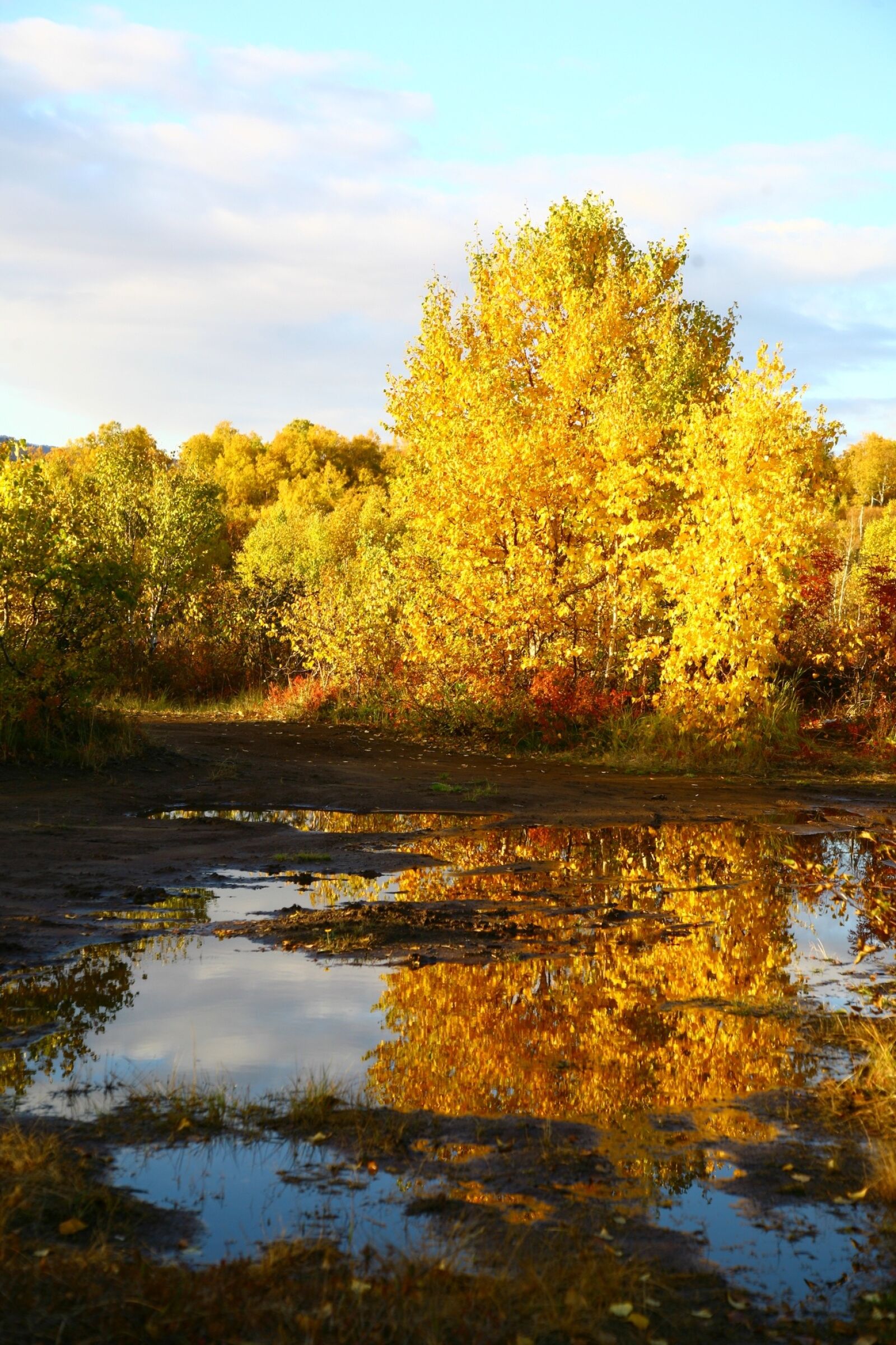Canon EOS 5D sample photo. Autumn, forest, lake photography