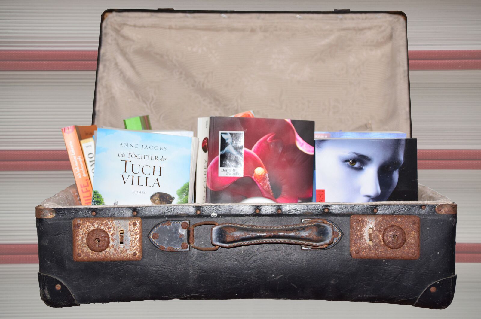 Nikon D3300 sample photo. Luggage, books, novels photography