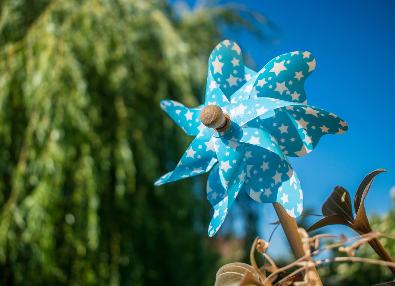 Nikon D3300 sample photo. Windmill, blue, pinwheel photography