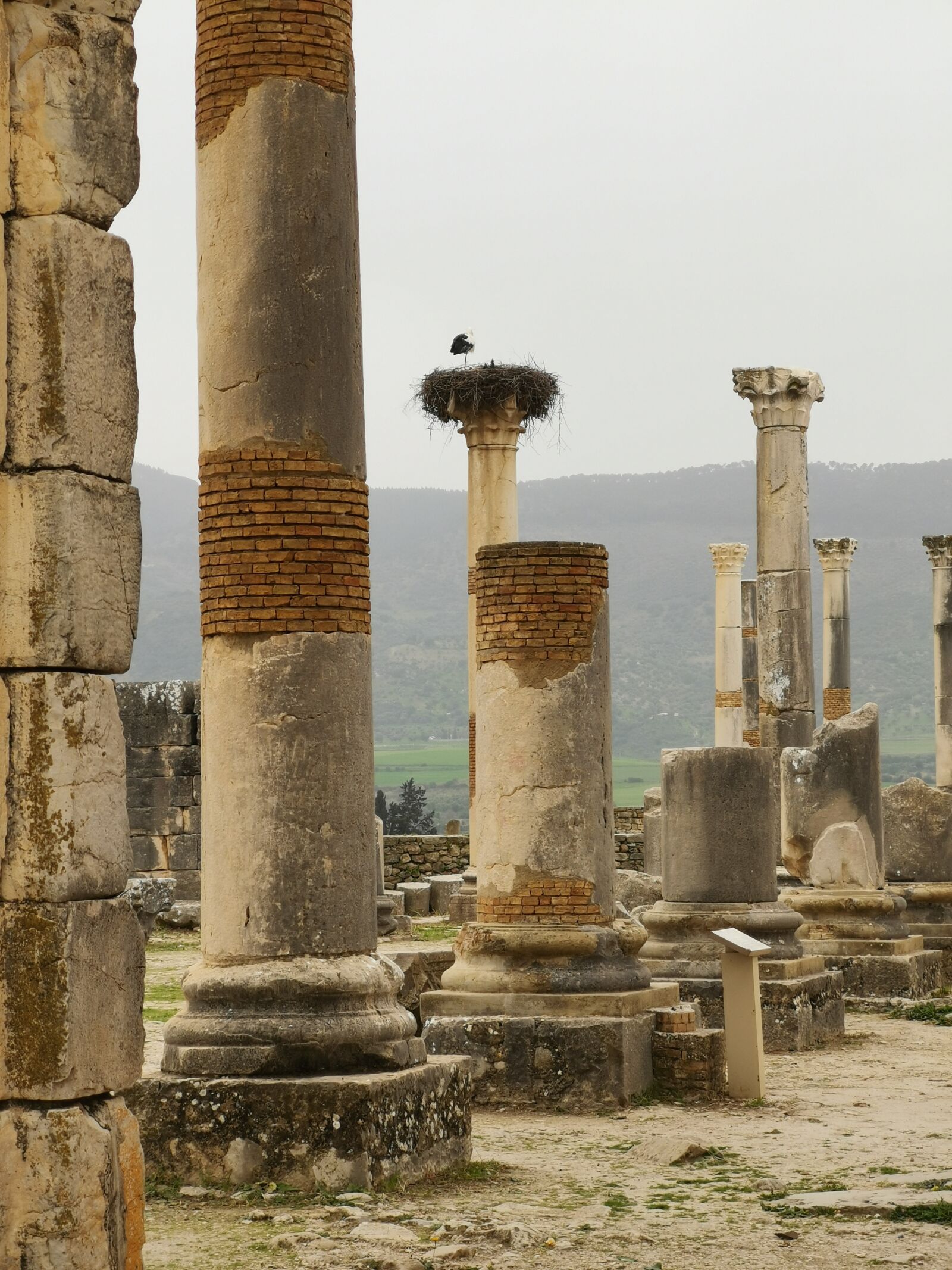 HUAWEI LYA-L29 sample photo. Volubilis, stones, romans photography