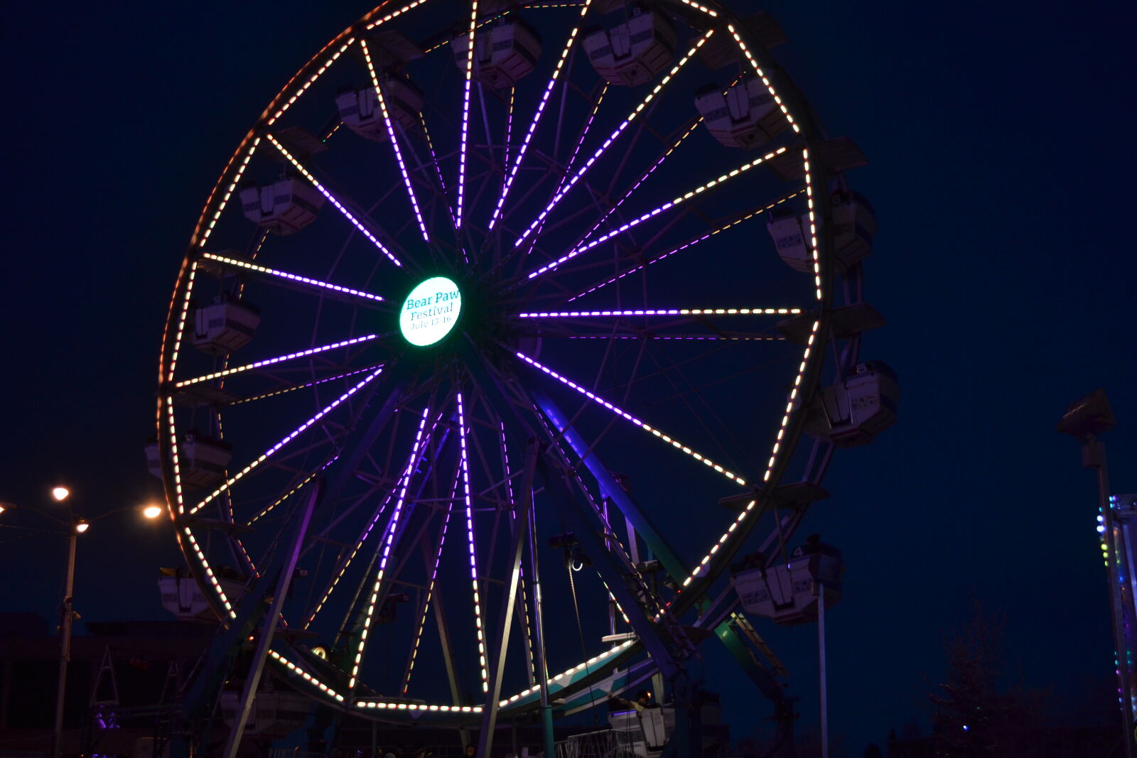 Nikon D3100 sample photo. Amusement, park, fair, ferris photography