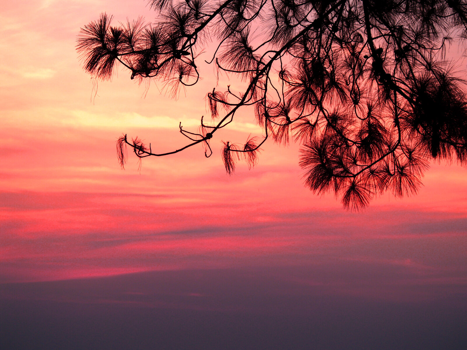 Olympus E-300 (EVOLT E-300) sample photo. Backlit, dawn, dusk, khao photography